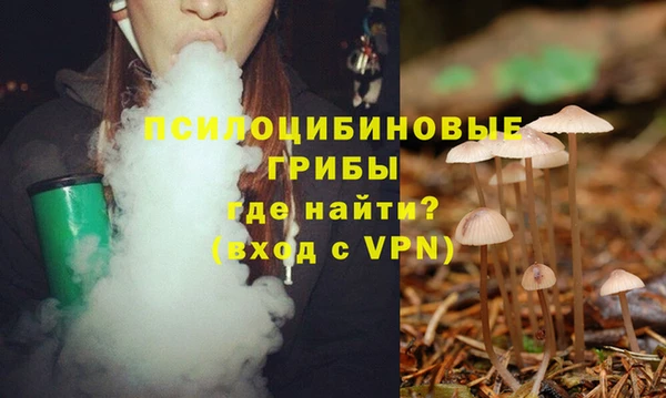 герыч Пересвет