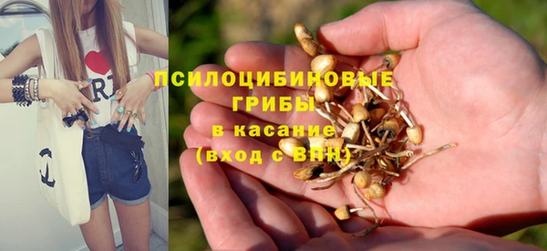 MDMA Premium VHQ Богородицк